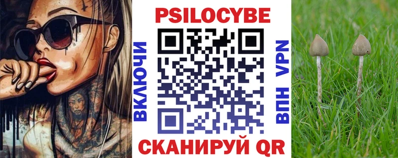 Псилоцибиновые грибы мицелий Тында